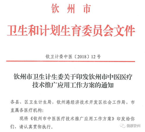 權(quán)威發(fā)布丨官宣 欽州中醫(yī)醫(yī)療技術(shù)推廣應(yīng)用工作這樣做